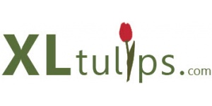 XL tulips logo